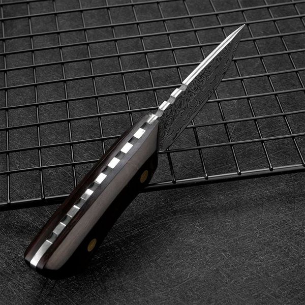 Muxel Damastmesser Klein, handlich, schick- Das Vielseitige Outdoormesser, Hackmesser, klein und handlich