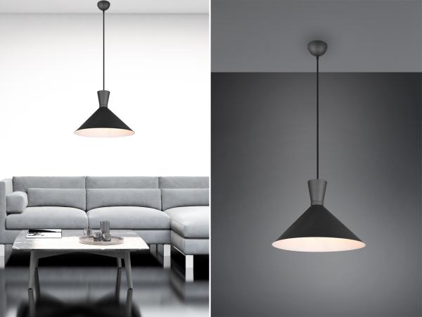 Reality Leuchten LED Pendelleuchte, Dimmfunktion, LED wechselbar, Warmweiß, Industrie-design für über-n Esstisch hängend einflammig Schwarz Ø 35cm