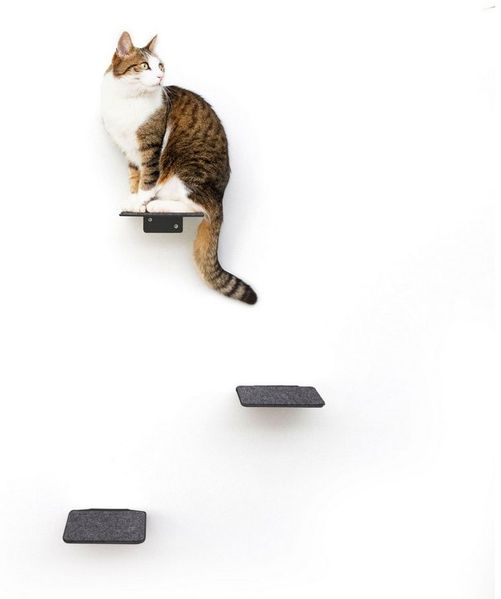 LucyBalu Katzen-Kletterwand Katzentreppe, Katzen Kletterwand, Katzenleiter, Katzenstufen, 3er Set, Pulverbeschichtetes Stahlblech mit Filzauflagen