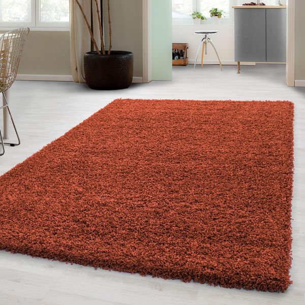 Carpetsale24 Shaggy Hochflor Teppich 60x110 cm Terrakotta weich flauschig modern einfarbig Für Flur oder kleine Räume für Wohnzimmer Schlafzimmer Flur