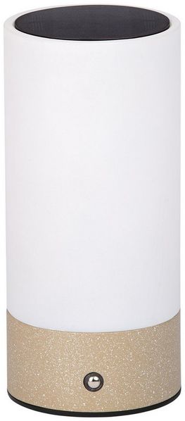 Dehner LED Solarleuchte Levi, Außenleuchte Solar- & Akkubetrieb, Ø9 x H20 cm, Edelstahl & Glas, Warmweiß, Dämmerungssensor, Solar, Akku