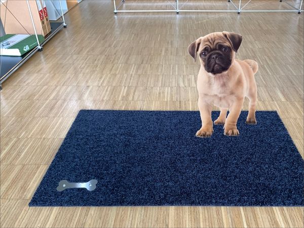 Keilbach Designprodukte Fußmatte picoBELLO. dog 87 x 57 cm, rechteckig, Höhe: 9 mm, waschbar, rutschfest, dünn, dichtgewoben, robust