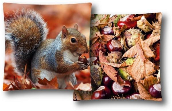 Bestlivings Kissenbezug mit Fotodruck ca. 40x40cm, Beidseitig bedruckt, in vielen Motiven verfügbar ( Design: EICHHÖRNCHEN / KASTANIEN )