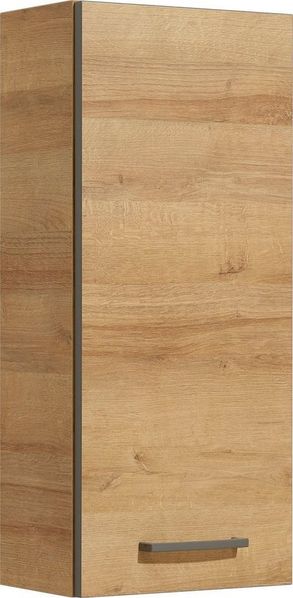 Saphir Hängeschrank Quickset 919 Badschrank 30 cm breit mit 1 Tür und 2 Glas-Einlegeböden Badezimmer-Hängeschrank inkl. Türdämpfer, Griffe in Grau