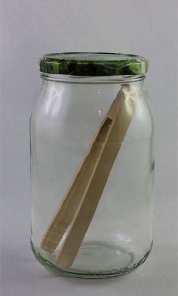 Einmachglas 900 ml mit Deckel Gurkenmotiv und Holzzange 12er Pack – Vorratsglas zum Einlegen und Aufbewahren von Gurken und Lebensmitteln