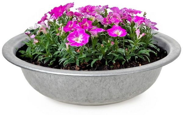 matches21 HOME & HOBBY Blumentopf Zinkwanne Zink-Schale als runde Pflanzschale Deko-Schale 35 x 9,5 cm (1 St), Metall-Schale als Garten Pflanzkübel Blumenschale für draußen
