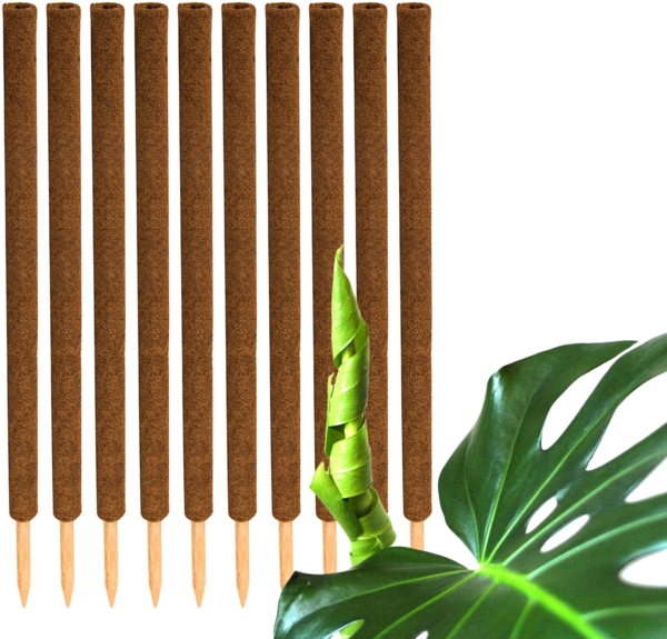 BigDean 10er Set Pflanzstäbe Kokos 110 cm - Monstera Rankhilfe Rankstäbe Stab Moosstäbe Pflanzenstäbe Kokosstäbe für Pflanzen - aus natürlicher Kokosfaser - verlängerbar