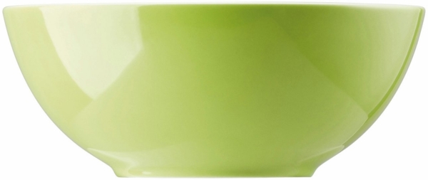Müslischale 15 cm Sunny Day Apple Green Thomas Porzellan Schale - Mikrowelle geeignet, Spülmaschinenfest Bild 5