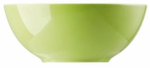 Müslischale 15 cm Sunny Day Apple Green Thomas Porzellan Schale - Mikrowelle geeignet, Spülmaschinenfest Bild 6