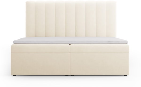 Micadoni Boxspringbett Kelp Samt Helles Beige 180x200