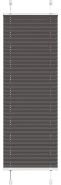 Rollo Plissee Schwarz 40x100 cm Stoffbreite 39,4 cm Polyester, vidaXL