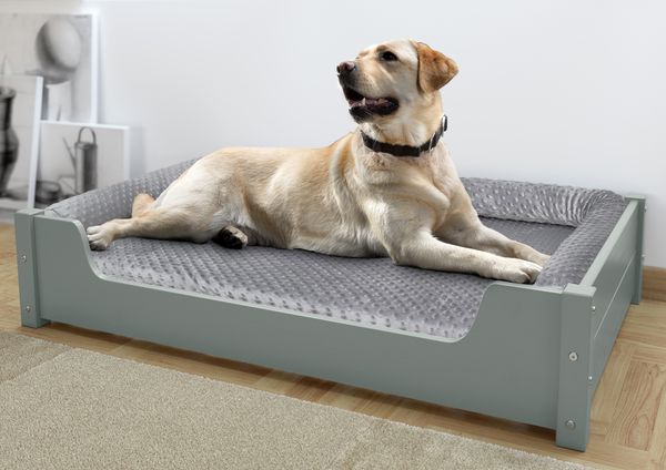 Luxuriöses Haustierbett, Tierbett 100x60 cm, Kiefer grau V-30.32-G-100x60Rollrost inkl.
