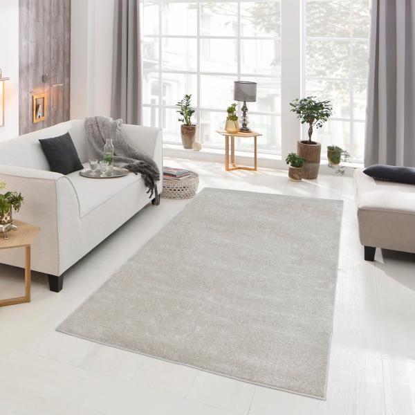 HOME DELUXE Kurzflor Teppich FOFI - 320 x 240 cm Grau