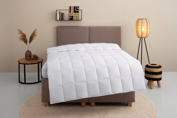 OTTO home Daunenbettdecke Chevillon Bettdecke 135x200 cm, 155x220 cm und weitere Größen, Füllung: 90% Daunen & 10% Federn, Bezug: 100% Baumwolle, Bettdecken, Sommer, Winter, Allergiker geeignet (Hausstauballergiker)