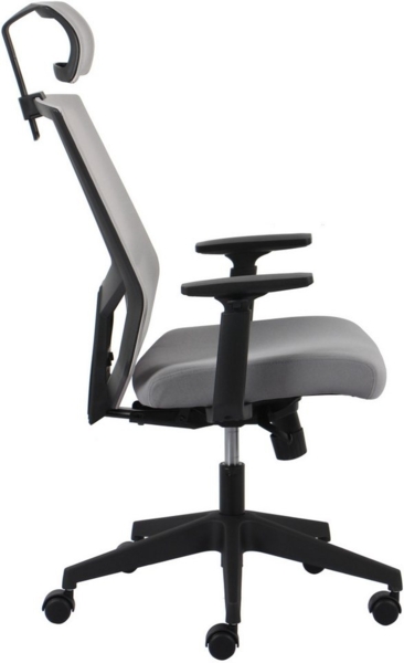 INOSIGN Chefsessel Netti, Schreibtischstuhl, hochwertige ergonomische Ausstattung, Kopfstütze, Armlehnen & Rückenlehne verstellbar Bild 3