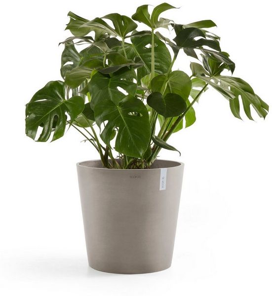 ECOPOTS Blumentopf Amsterdam, ØxH: 60x54,8 cm