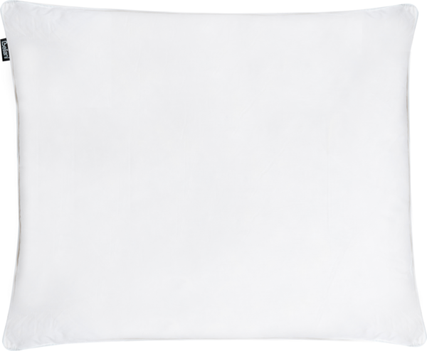 Kopfkissen Entenfedern Entendaunen hoch 50x60 cm FELDBERG