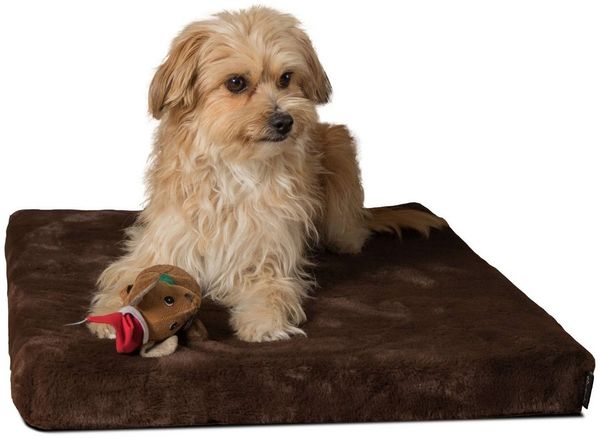TrendPet Tiermatratze VitaMedog Braun - orthopädische Matratze, 5cm