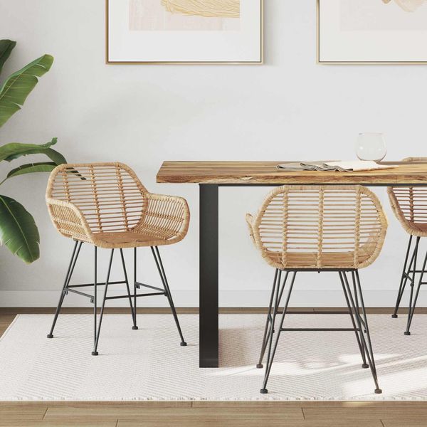 vidaXL Esszimmerstuhl 2 pcs Rattan und Eisen Natur 55 x 50 x 74 cm 42011556