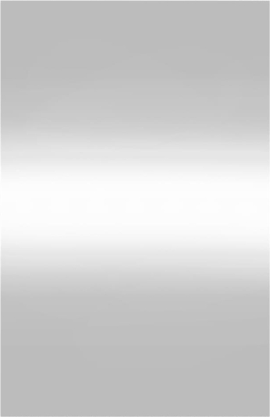 vidaXL Wandspiegel 50x80 cm Glas Rechteckig 350450