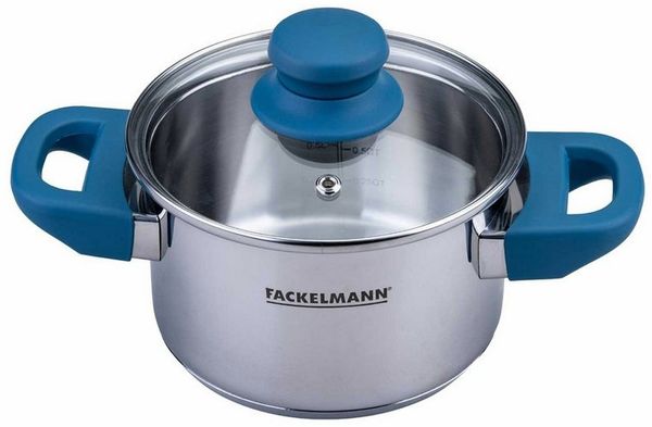 FACKELMANN Kochtopf Edelstahl Topf mit Deckel, Suppentopf, Induktionsgeeignet