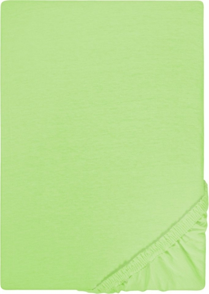 Biberna Jersey-Spannbetttuch, 100 % Baumwolle, Hellgrün, 1x 180x200 cm - 200x200 cm