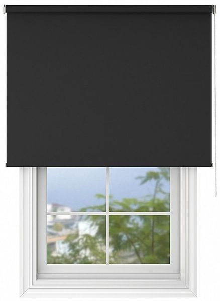 Seitenzugrollo Tageslicht-Rollo Basic GL, Deco-Raum, blickdicht, Wand- und Deckenmontage, einfache Selbstmontage, zum Schrauben, lichtdurchlässig & blickdicht, stufenlos, einfache Montage
