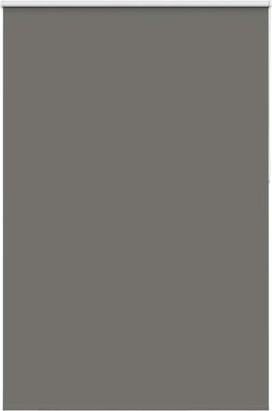 vidaXL Verdunkelungsrollo Grau 150x210cm Stoffbreite 146,6cm Polyester 4011190
