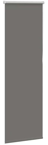 vidaXL Verdunkelungsrollo Grau 50x130 cm Stoffbreite 45,7 cm Polyester 4011092 Bild 3