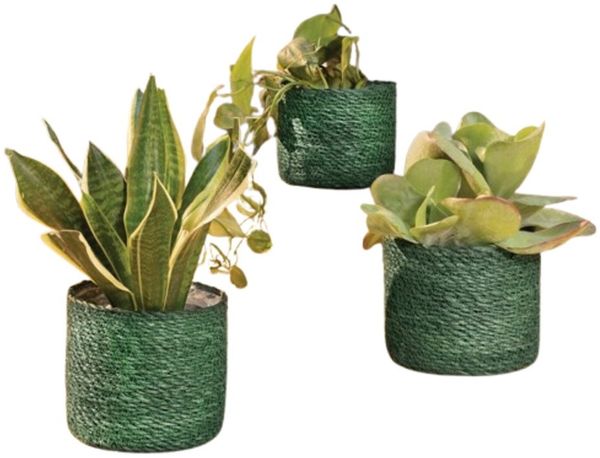 Home-trends24. de Pflanzkübel Grün Pflanzkorb Blumenkorb Pflanzer Pflanzgefäß Körbe Seegras 3er Set (3 St)