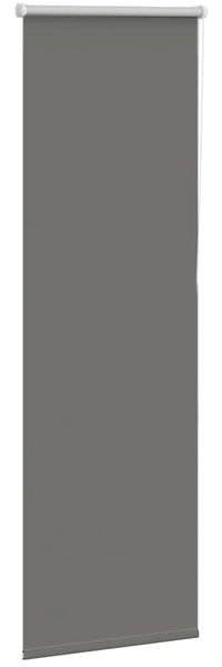 vidaXL Verdunkelungsrollo Grau 50x175 cm Stoffbreite 45,7 cm Polyester 4011144 Bild 3