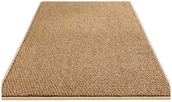Agger Fußmatte Rutschfest Fußmatte Außen und Innen, Wasserdicht Eingangsteppich, 40*60cm, Waschbar Türmatte, Absorbierend Fussmatte für Hund, Eingang, Haustür