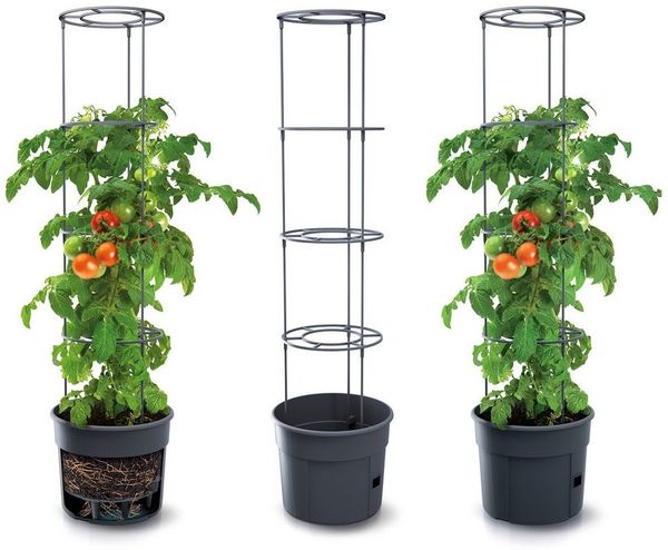 KAGM Pflanzkübel Blumenkübel Rankhilfe Blumentopf für Tomaten Tomatentopf 3er SET 12L (Tomatentopf, Rankhilfe)