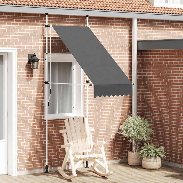 vidaXL Einziehbare Markise Handbetrieben 100 cm Anthrazit 145832