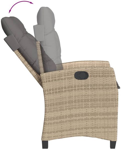 vidaXL 9-tlg. Garten-Essgruppe mit Kissen Beigemischung Poly Rattan 3212717 Bild 5