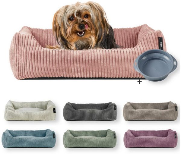 Rohrschneider Tierbett Hundebett Cord für kleine Hunde mit waschbarem Bezug inkl. Futternapf, antiruschbeschichtete Unterseite