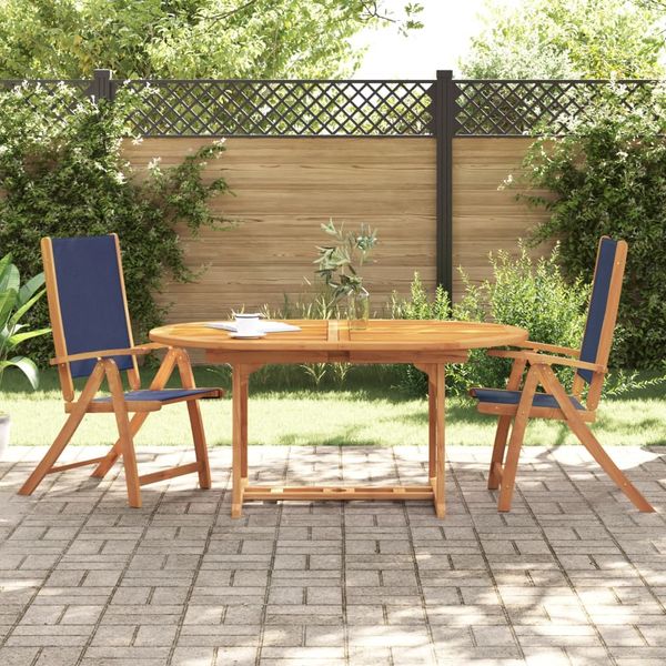 vidaXL Gartenstühle 2 Stk. Klappbar Massivholz Akazie und Textilene 4008422