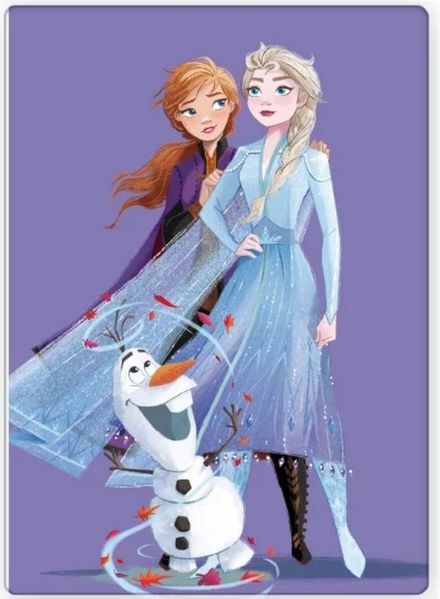 Kinderdecke Eiskönigin Frozen Nostalgie Fleecedecke Warm Kuscheldecke 100 x 140cm, Disney