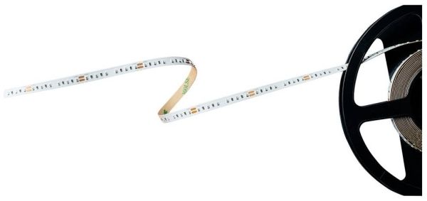 Barthelme Basic 120 51540913 LED-Streifen mit offenem Kabelende 24 V 5 m grün (1 St.)
