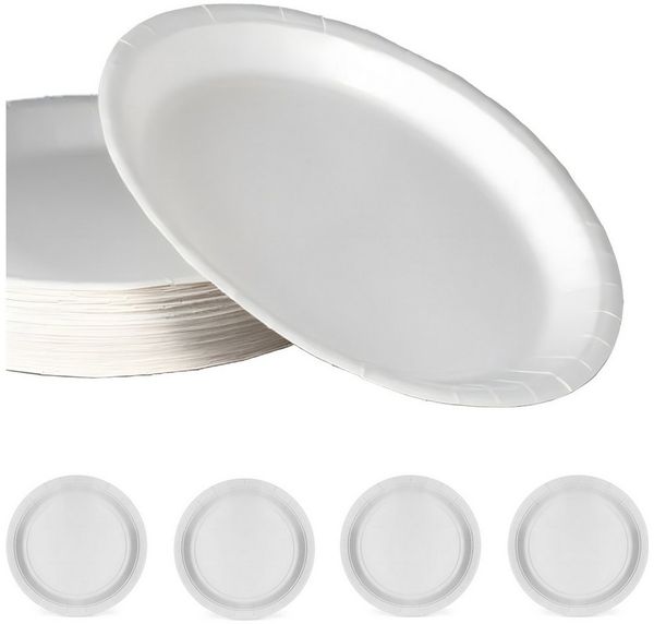 TSB Werk Einwegteller Pappteller Campingteller Campinggeschirr 20cm, (40 St), Picknickgeschirr, Rund, Teller, Set