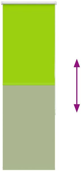 vidaXL Verdunkelungsrollo Grün 55x175 cm Stoffbreite 50,7 cm Polyester 4011275 Bild 9