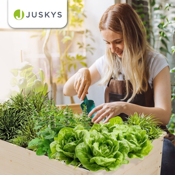 Juskys Hochbeet Freya mit Rädern - Holz, Vliesstoff & Ablage - Beet für Balkon, Kräuterbeet, Salatbeet, Gemüsebeet, Pflanzkübel, Garten, Terrasse Bild 7