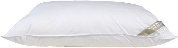 Hofmann Franken kuschelweiches Daunenkissen Kopfkissen 65x100cm 750g 100% Daunen