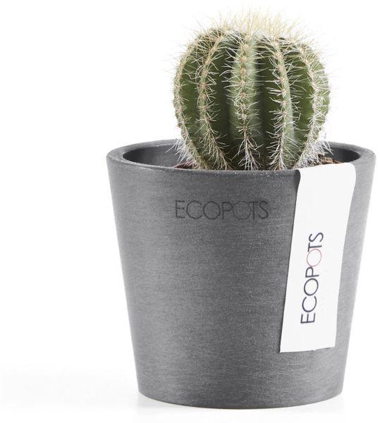 Ecopots Übertopf Amsterdam Kunststoff grau Ø 8 x 7 cm