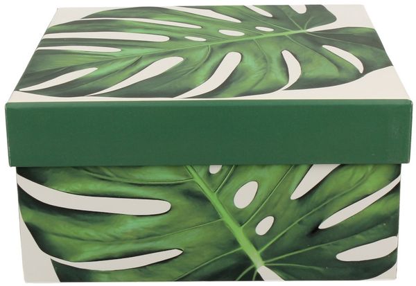 DUO FLORAL Tasse 250 ml MONSTERA mit Untertasse, New Bone China Porzellan Bild 3