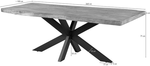 Baumtisch Sheesham 260x100x77 natur sandgestrahlt / Kreuzgestell silber matt FREEFORM 5 Bild 7