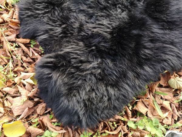Provellus Fellteppich Echte Öko Schaffelle Lammfell Schwarz Bis 140 cm 2. Wahl, 30x30cm rund