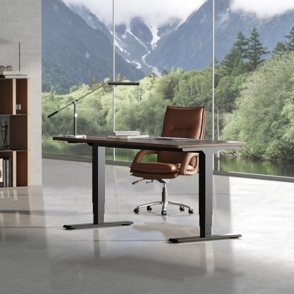 FLEXISPOT Schreibtisch Elektrisch höhenverstellbares Tischgestell (EC5 Serie) (Dual-Motor & 3-Fach-Teleskop & 4 Speicherhöhen), Antikollisionssystem, LED-Display, Max. Load: 100kg