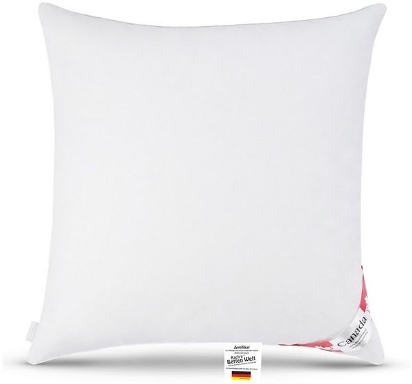 Canada Kopfkissen Daunenkissen Kopfkissen Quattro 80x80 cm, neue silberweiße canadische Daune und Federn Klasse 1