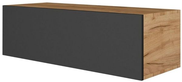 Planetmöbel TV Board 100 cm Gold Eiche/Anthrazit, TV Schrank mit 1 Klappe als Stauraum, Lowboard hängend oder stehend, Sideboard Wohnzimmer
